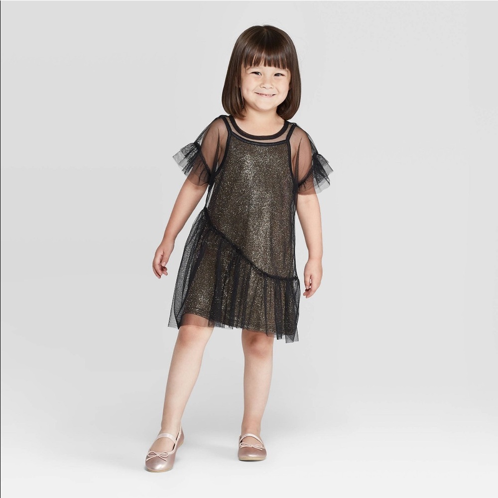 Glittery overlay dress- Art Class 5T